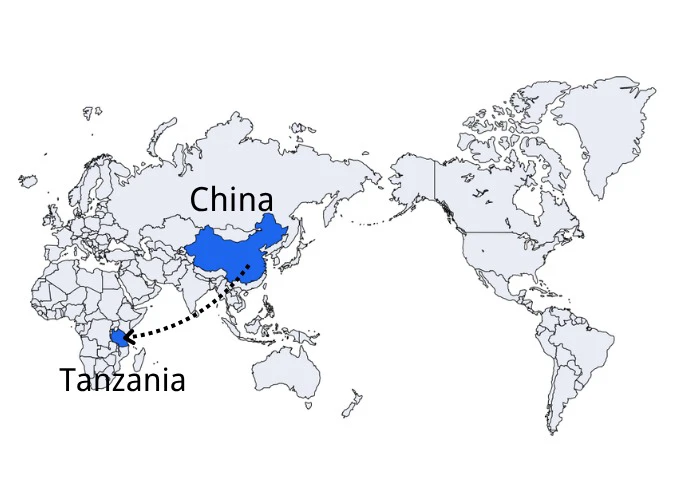 DDP Shipping from China to USA