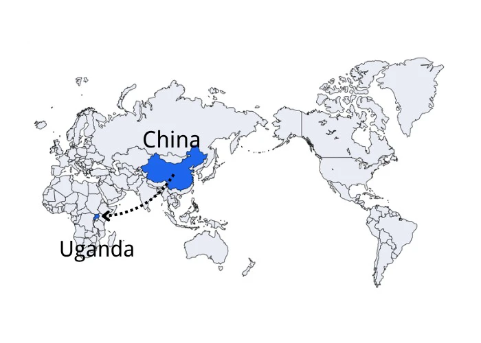 DDP Shipping from China to USA